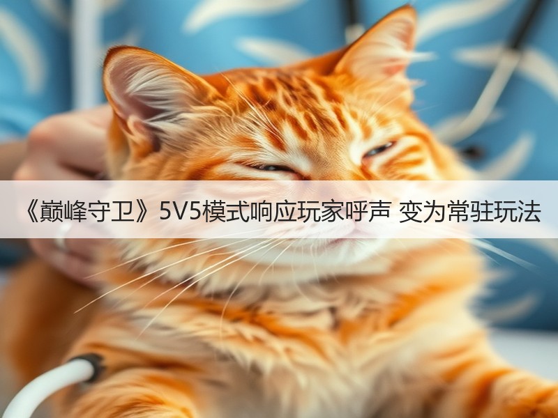 《巅峰守卫》5V5模式响应玩家呼声 变为常驻玩法